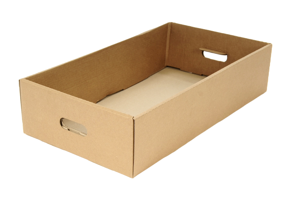 TRAY BOXES